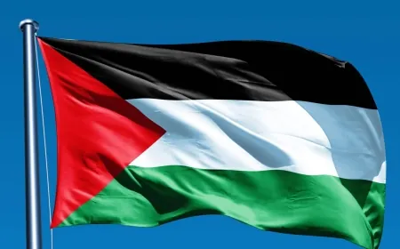 وزارة الخارجية الفلسطينية تندد بنقل فيجي سفارتها إلى القدس