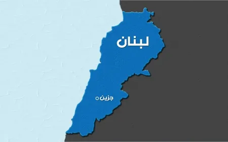 مجهولون أقدموا على نزع تمثال السيدة العذراء في سنيا - جزين