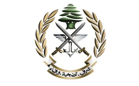 الجيش: تفجير ذخائر في حقل القليعة - مرجعيون