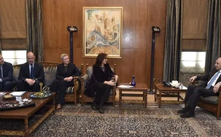 بري بحث مع المفوضة الأوروبية لمنطقة المتوسط في المستجدات محليا واقليميا وعرض مع منصوري للاوضاع المالية والاقتصادية