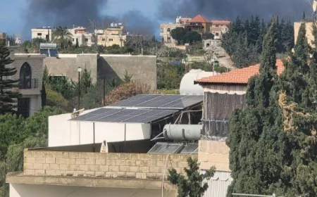 مشاهدمن الغارة إسرائيلية استهدفت منطقة تبنا على أطراف البيسارية جنوبي لبنان"