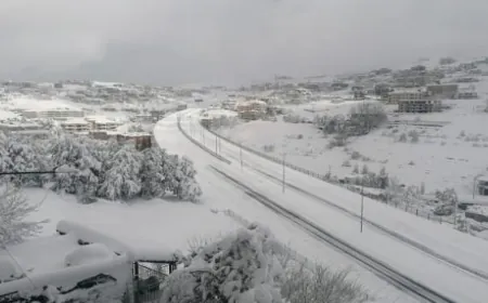 القرار لمديري المدارس والثانويات والمعاهد الفنية الرسمية والخاص