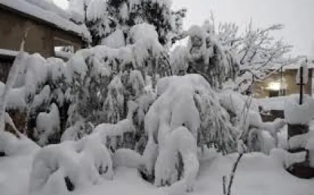 طرق مقطوعة بالثلوج