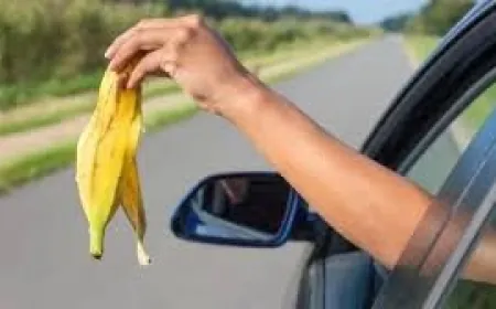 كاميرات لرصد الرمي العشوائي للنفايات