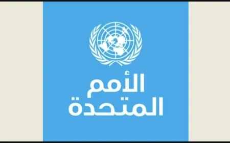 الأمم المتحدة حذرت من عودة "الطغاة"