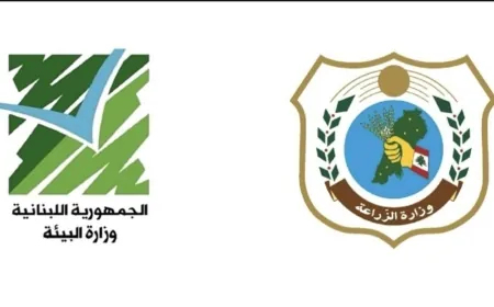 وزارتا الزراعة والبيئة: الفحوص المخبرية الأولية أظهرت عدم تأثر الزيتون بالفوسفور