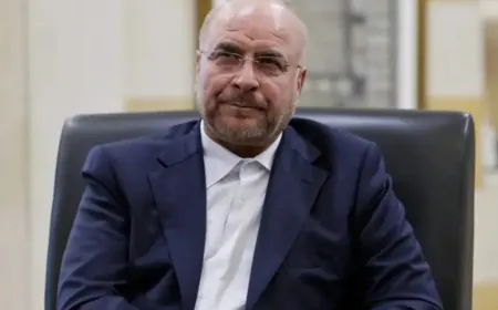 رئيس البرلمان الإيراني: ندعم أي اتفاق يتم التوصل إليه بين الحكومة والمقاومة اللبنانية