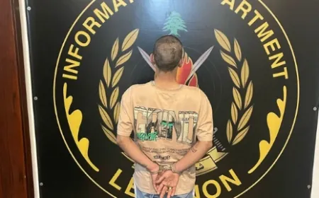 قوى الأمن: توقيف سارق منازل ومحال تّجاريّة