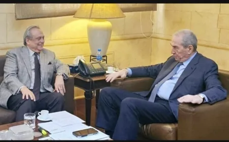 حبيب يتابع مع الجسر قروض قطر وأبوظبي