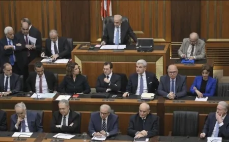 بري رفع جلسة مناقشة البيان الوزاري للحكومة الى الساعة السادسة مساء