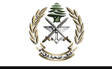 الجيش: تفجير ذخائر غير منفجرة في دير قانون رأس العين