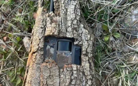 وحدة مختصة من الجيش نجحت في اكتشاف وتفكيك جهازي تجسس عائدين للجيش الإسرائيلي في خراج بلدة كفرشوبا في النبطية