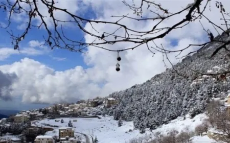 طقس مستقرّ وبارد...