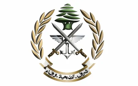 الجيش: توقيف مطلوبين في منطقة الفنار - الزعيترية