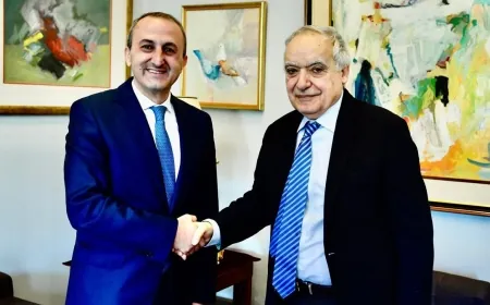 وزير الثقافة تناول مع أميرجانيان التحضيرات لإطلاق فعاليات شهر الفرنكوفونية