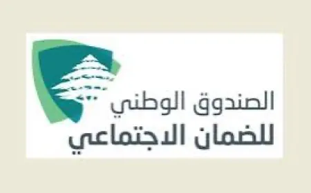 كركي: 441 مليار ليرة للمستشفيات والأطبّاء منذ مطلع العام