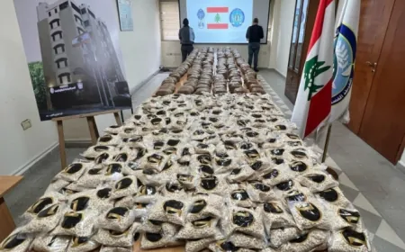 مكتب مكافحة المخدّرات المركزي في وحدة الشرطة القضائية يحبط عملية تهريب كمية كبيرة من حبوب الكبتاغون وحشيشة الكيف