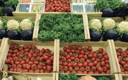 أسعار الخضار الى مزيد من الارتفاع