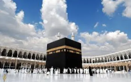 في مصر.. ضبط 7 شركات سياحة غير مرخصة تنصب على راغبي الحج والعمرة