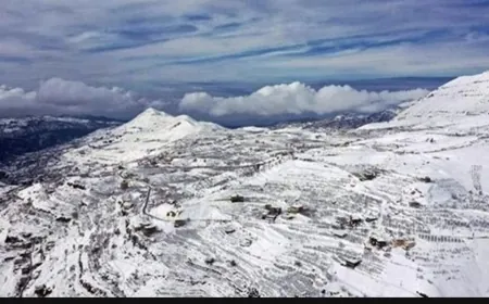 استقرار جويّ وارتفاع بدرجات الحرارة...