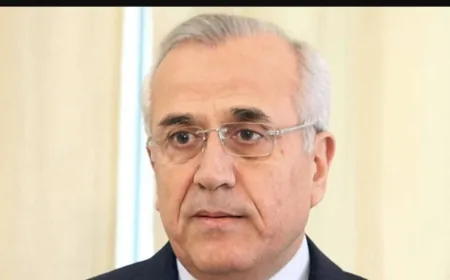 الرئيس سليمان: الاحتفاظ بالسلاح في شمال الليطاني وبخاصة في البقاع والضاحية خطوة اولى نحو التقسيم