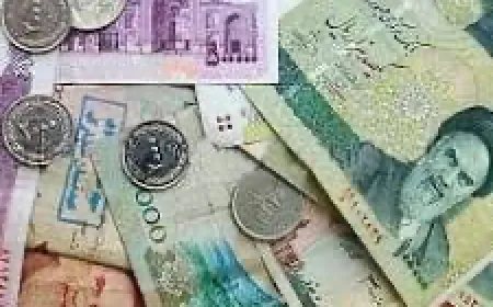 البرلمان الإيراني يعزل وزير الإقتصاد بسبب "العملة"!