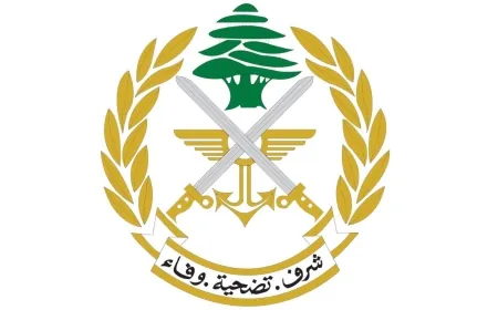 الجيش: توقيف شخص لمشاركته في إشكال وإطلاق نار