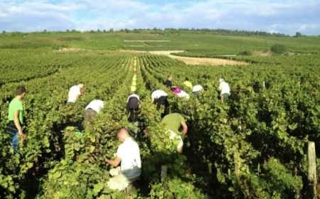 "نقابة المزارعين في بعلبك الهرمل": لدعم صمود المزارعين وتثبيتهم في أرضهم