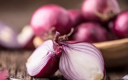 منها "البصل".. عناصر غذائية مفيدة لعلاج عسر الهضم