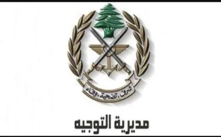 الجيش: تفجير ذخائر غير منفجرة في القليعة - مرجعيون