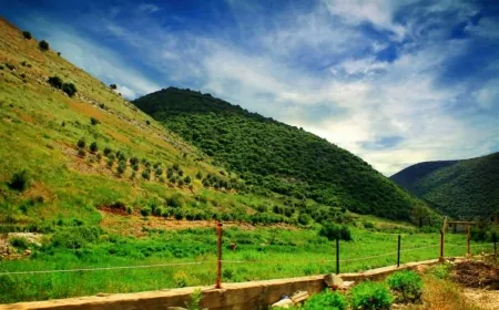 في يومها الوطني.. ماذا نعرف عن محميات لبنان الطبيعية؟