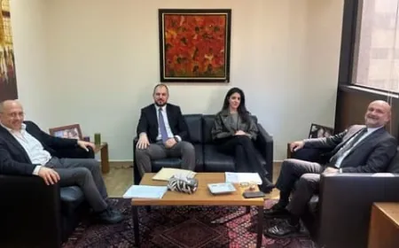 رفع لبنان عن اللائحة الرمادية بين عون وأبي رميا وعضو اللجنة القانونية في "العدل"
