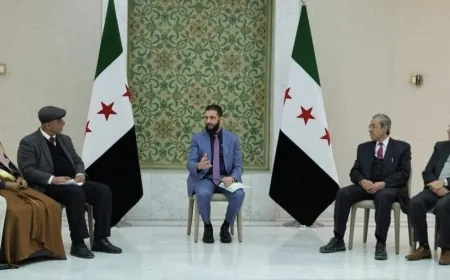 مباحثات جمعت الشرع مع وفد من السويداء: اتفاق على تشكيل جهاز أمني يتبع للحكومة في المحافظة وتأكيد على وحدة الأراضي السورية