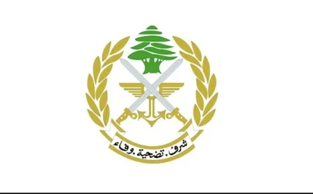 الجيش يعلن تحرير سوريين في منطقة التل - الهرمل خطفتهم عصابة مقابل فدية مالية