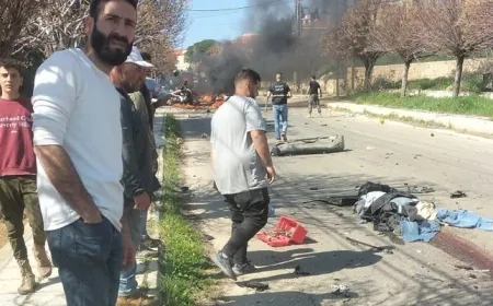 الدفاع المدنيّ في جنوب لبنان: شهيدان في الغارة التي استهدفت سيارة برج الملوك