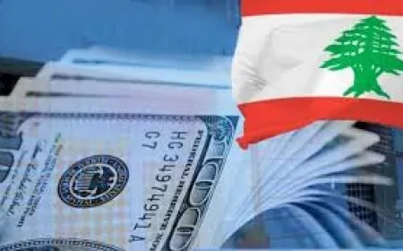 الدولة أنفقت قسماً كبيراً من الأموال الضائعة...حلّ أزمة الودائع يحتّم مشاركة كل الأطراف