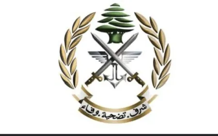 الجيش: رددنا على نيران أُطلِقت من الأراضي السورية وسلمنا جثامين ٣ سوريين إلى السلطات السورية