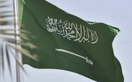 استنكرت المملكة العربية السعودية العدوان الإسرائيلي على غزة.
