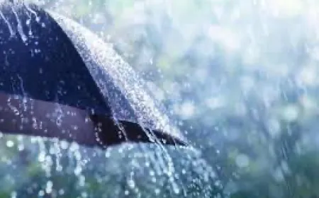 الطقس غدا ماطر مع برق ورعد وثلوج على 1000 متر شمالا