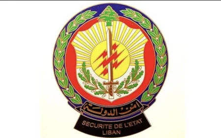 في صور... أمن الدولة توقف سوريّين يروّجان المخدّرات