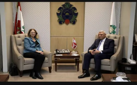 المدير العام للأمن العام استقبل السفيرة الأميركية... وهذا ما جرى بحثه