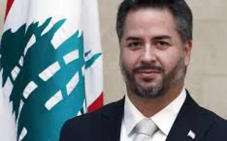 قرار بمنع السفر بحقّ امين سلام