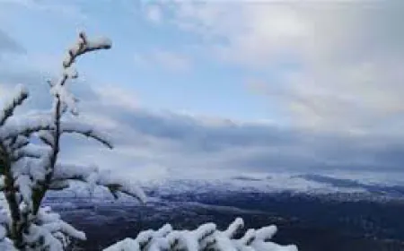 طقس لبنان المتقلّب.. هل تتأثّر الموارد المائية والزراعية؟