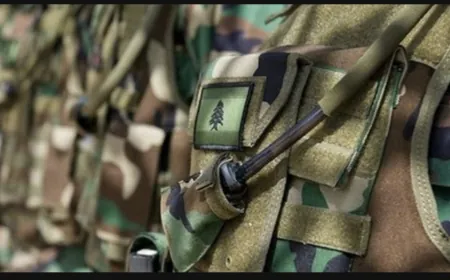 الجيش: تمارين تدريبية في حقل تدريب مزرعة حنوش - حامات