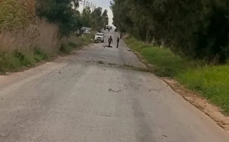 شهيدان سوريان وجريح لبناني بالاعتداء الذي نفذته مسيرة اسرائيلية معادية على طريق الدردارة  سهل الخيام