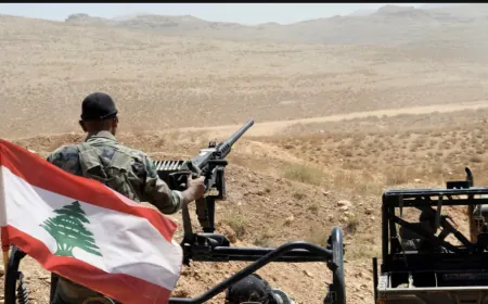 الجيش أوقف سوريين دخلوا الأراضي اللبنانية بطريقة غير شرعية