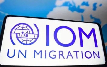 المنظمة الدولية للهجرة: تعاون مستمر مع تونس لدعم المهاجرين