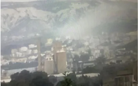 جريمة بيئية وصحية ومالية... "لجنة كفرحزير" تُحذّر