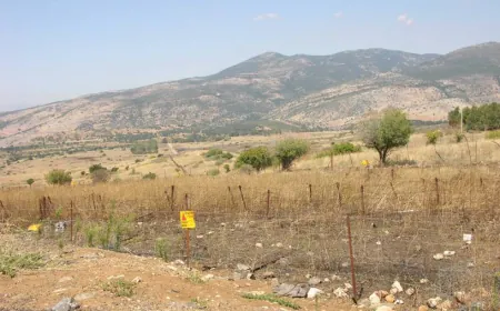 بِمناسبة عيد الفصح... مزارع شبعا على الخريطة السياحية الإسرائيلية!