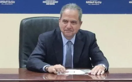 وزير الطاقة اللبناني: الأولوية هي لتطبيق أي قانون قبل إعادة النظر فيه